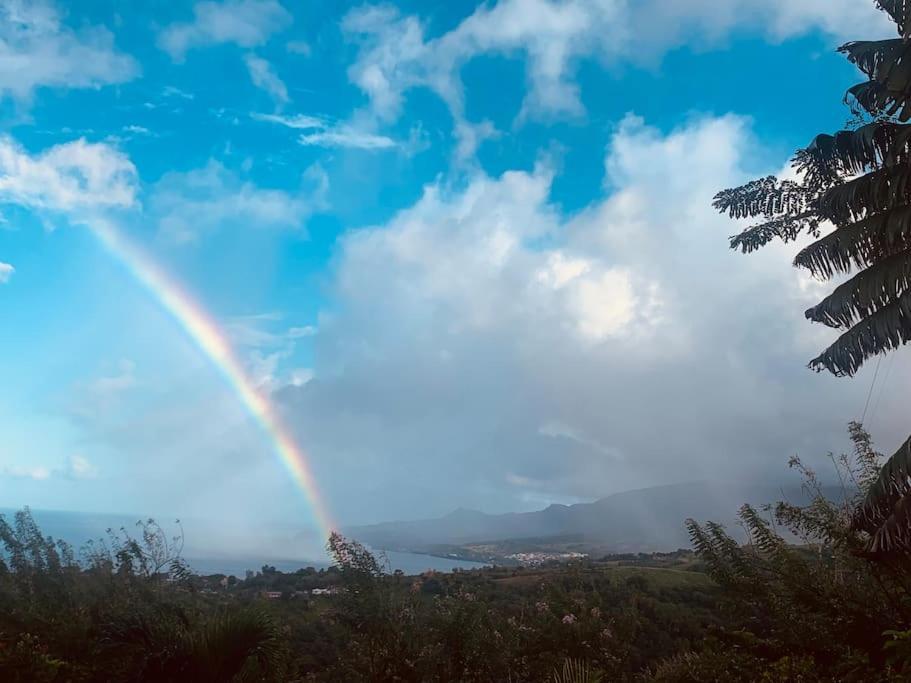 Bungalow Avec Vue Dans Lieu Calme Le Carbet Kültér fotó